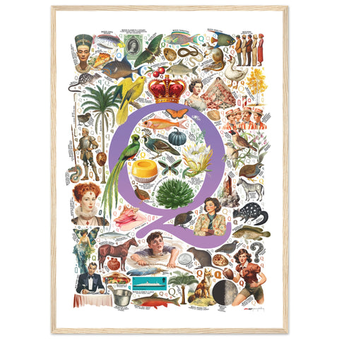 "Q is for Quest" — a Renard Roux alphabet poster with English Q words (purple version)