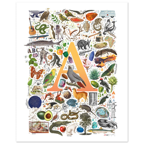 "A is for Adventure" — a Renard Roux alphabet poster with English A words (yellow version)