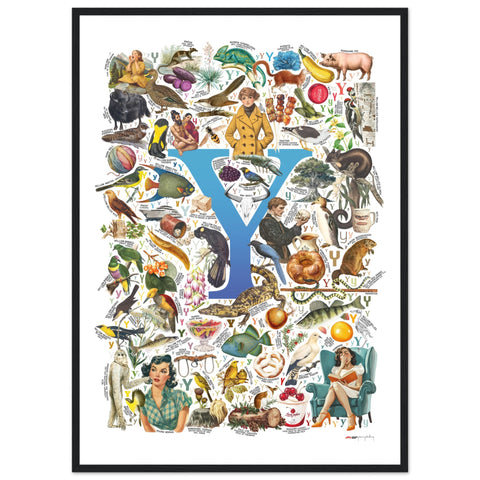 "Y is for Yonder" — a Renard Roux alphabet poster with English Y words (blue version)