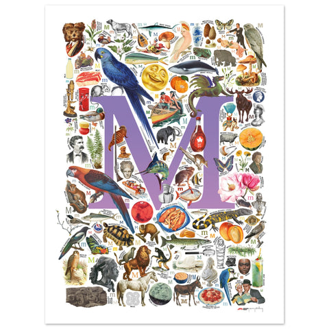 "M is for Magical" — a Renard Roux alphabet poster with English M words (purple version)
