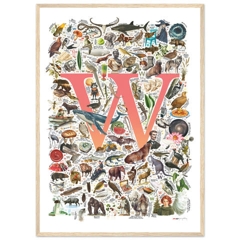 "W is for Wonder" — a Renard Roux alphabet poster with English W words (red version)