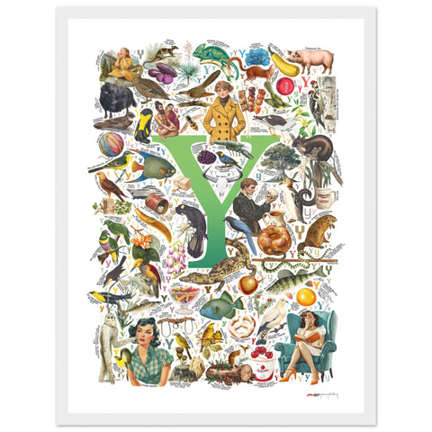 "Y is for Yonder" — a Renard Roux alphabet poster with English Y words (green version)