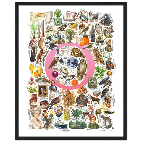 "O is for Original" — a Renard Roux alphabet poster with English O words (pink version)