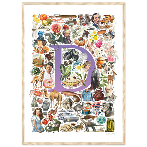 "D is for Discovery" — a Renard Roux alphabet poster with English D words (purple version)