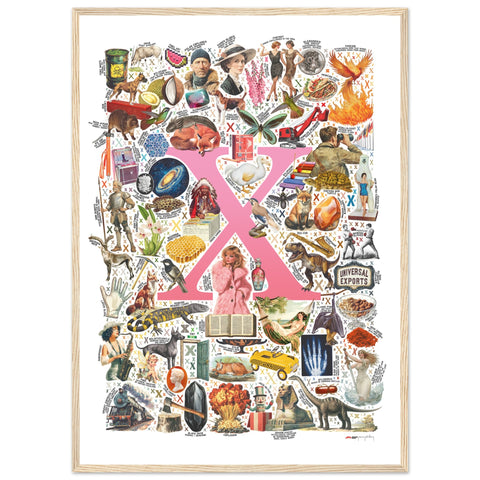 "X is for Xanadu" — a Renard Roux alphabet poster with English X words (pink version)