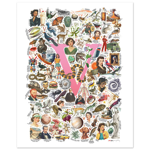 "V is for Voyage" — a Renard Roux alphabet poster with English V words (pink version)