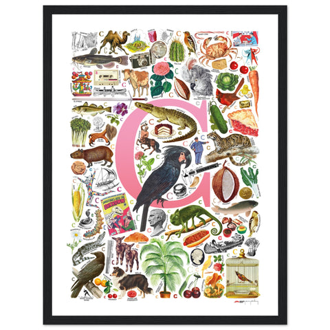 "C is for Curious" — a Renard Roux alphabet poster with English C words (pink version)