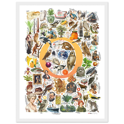 "O is for Original" — a Renard Roux alphabet poster with English O words (yellow version)
