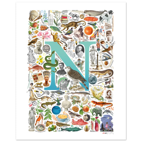 "N is for Nature" — a Renard Roux alphabet poster with English N words (turquoise version)