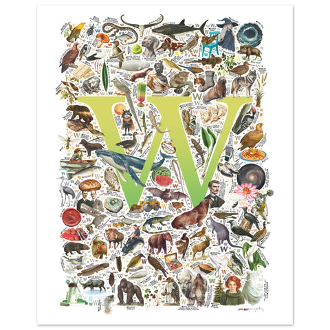 "W is for Wonder" — a Renard Roux alphabet poster with English W words (chartreuse version)