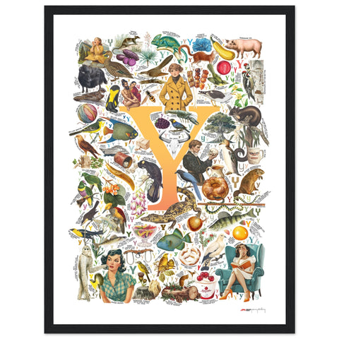 "Y is for Yonder" — a Renard Roux alphabet poster with English Y words (yellow version)