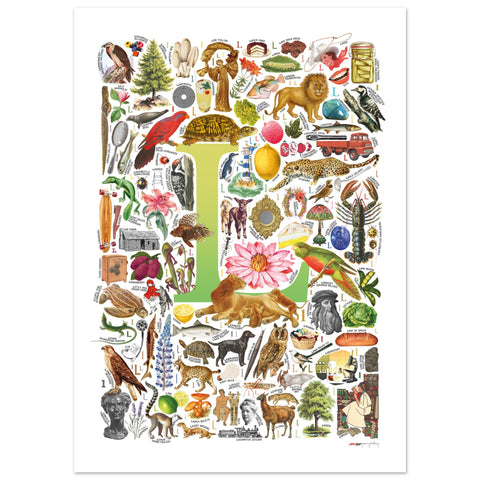 "L is for Learning" — a Renard Roux alphabet poster with English L words (chartreuse version)