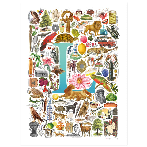 "L is for Learning" — a Renard Roux alphabet poster with English L words (turquoise version)