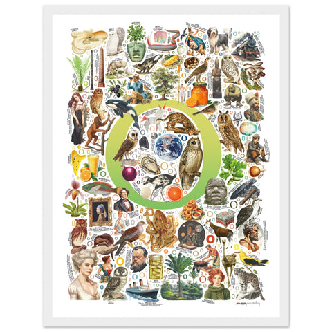 "O is for Original" — a Renard Roux alphabet poster with English O words (chartreuse version)