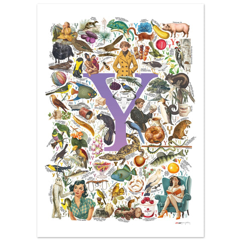 "Y is for Yonder" — a Renard Roux alphabet poster with English Y words (purple version)