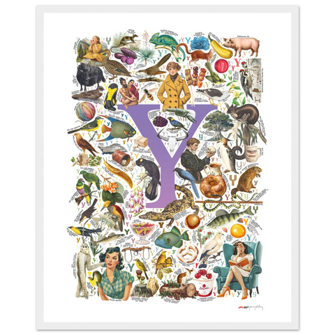 "Y is for Yonder" — a Renard Roux alphabet poster with English Y words (purple version)