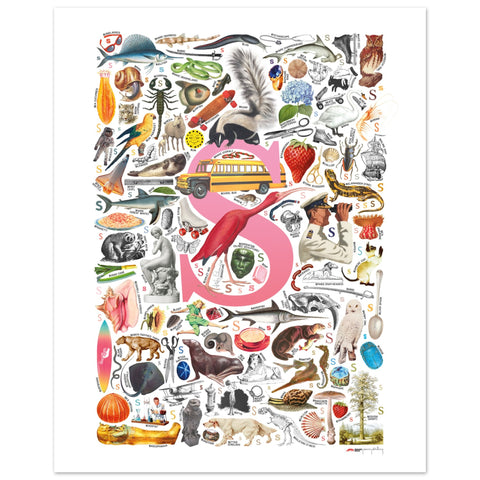 "S is for Surprise" — a Renard Roux alphabet poster with English S words (pink version)