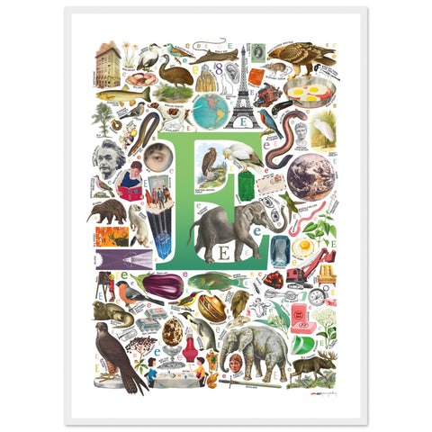 "E is for Explore" — a Renard Roux alphabet poster with English E words (green version)