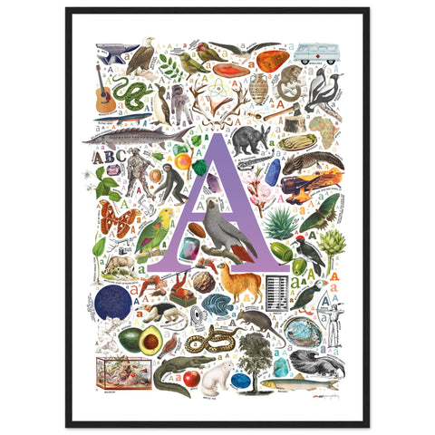 "A is for Adventure" — a Renard Roux alphabet poster with English A words (purple version)