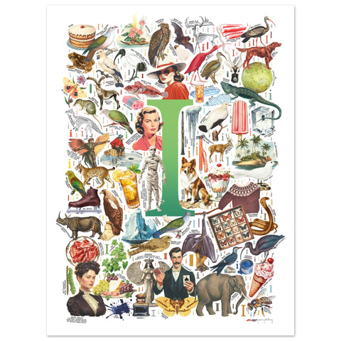 "I is for Imagination" — a Renard Roux alphabet poster with English I words (green version)