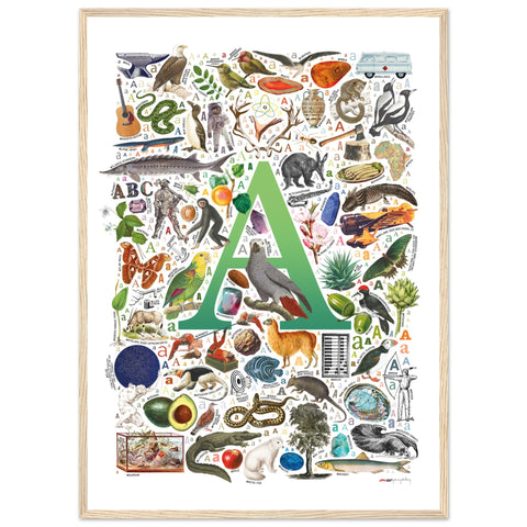 "A is for Adventure" — a Renard Roux alphabet poster with English A words (green version)