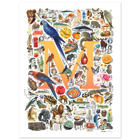 "M is for Magical" — a Renard Roux alphabet poster with English M words (yellow version)