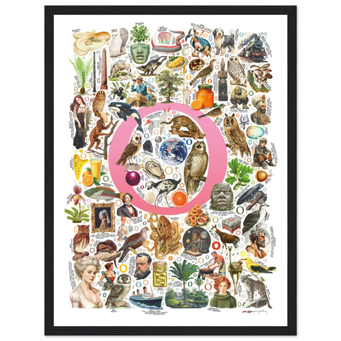 "O is for Original" — a Renard Roux alphabet poster with English O words (pink version)