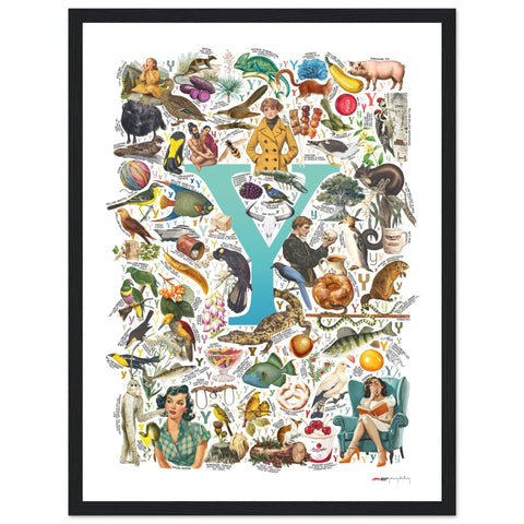 "Y is for Yonder" — a Renard Roux alphabet poster with English Y words (turquoise version)