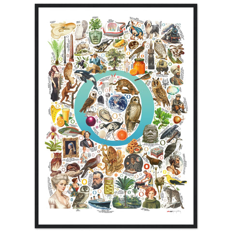 "O is for Original" — a Renard Roux alphabet poster with English O words (turquoise version)