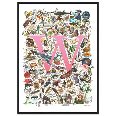 "W is for Wonder" — a Renard Roux alphabet poster with English W words (pink version)