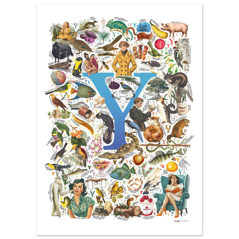 "Y is for Yonder" — a Renard Roux alphabet poster with English Y words (blue version)