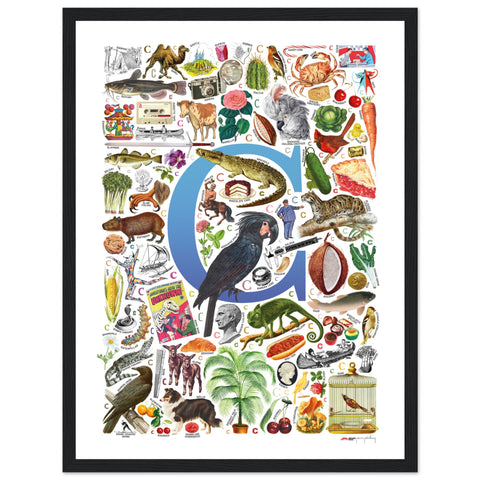 "C is for Curious" — a Renard Roux alphabet poster with English C words (blue version)