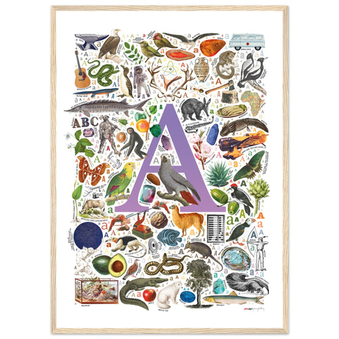 "A is for Adventure" — a Renard Roux alphabet poster with English A words (purple version)