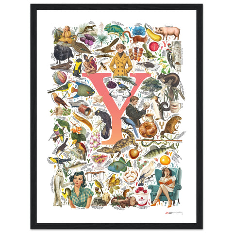 "Y is for Yonder" — a Renard Roux alphabet poster with English Y words (red version)