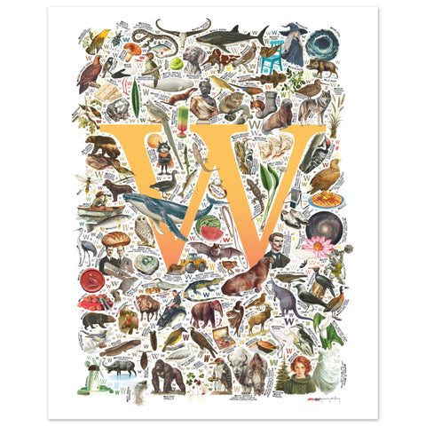 "W is for Wonder" — a Renard Roux alphabet poster with English W words (yellow version)