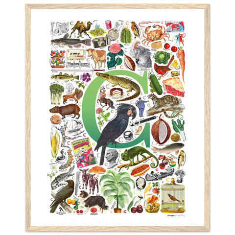 "C is for Curious" — a Renard Roux alphabet poster with English C words (green version)