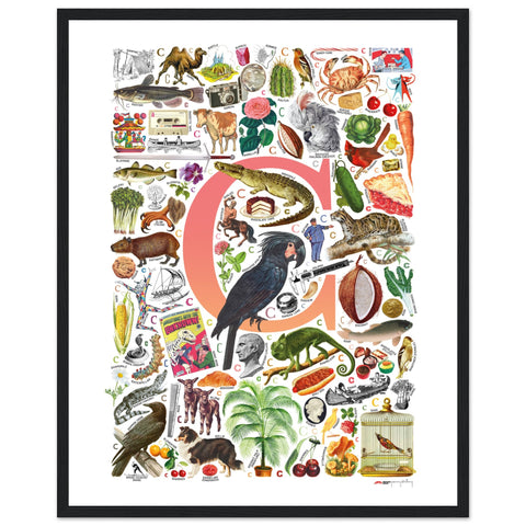 "C is for Curious" — a Renard Roux alphabet poster with English C words (red version)