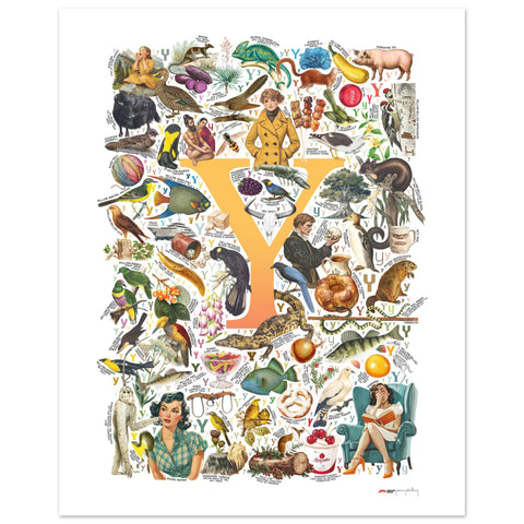 "Y is for Yonder" — a Renard Roux alphabet poster with English Y words (yellow version)