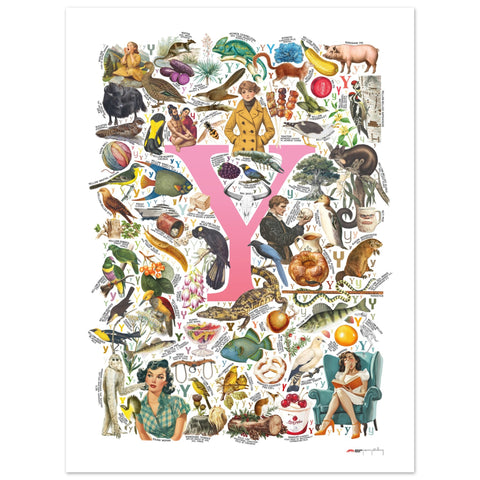 "Y is for Yonder" — a Renard Roux alphabet poster with English Y words (pink version)
