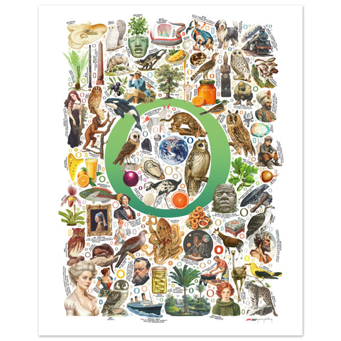 "O is for Original" — a Renard Roux alphabet poster with English O words (green version)