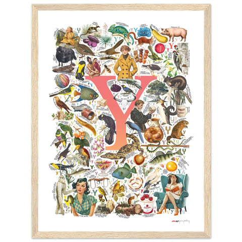 "Y is for Yonder" — a Renard Roux alphabet poster with English Y words (red version)