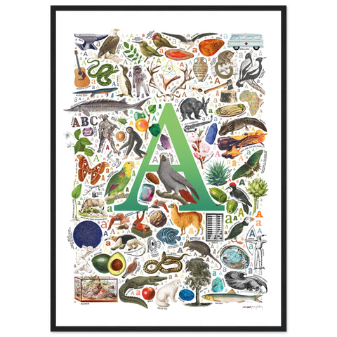 "A is for Adventure" — a Renard Roux alphabet poster with English A words (green version)