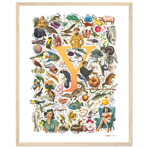 "Y is for Yonder" — a Renard Roux alphabet poster with English Y words (yellow version)