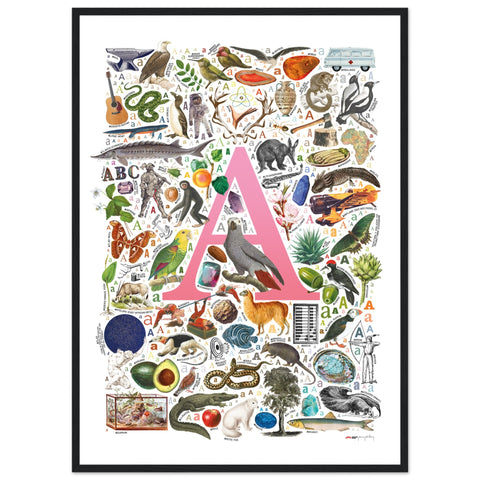 "A is for Adventure" — a Renard Roux alphabet poster with English A words (pink version)