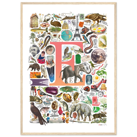 "E is for Explore" — a Renard Roux alphabet poster with English E words (red version)