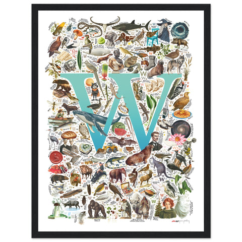 "W is for Wonder" — a Renard Roux alphabet poster with English W words (turquoise version)