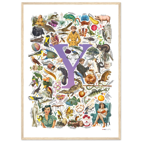 "Y is for Yonder" — a Renard Roux alphabet poster with English Y words (purple version)