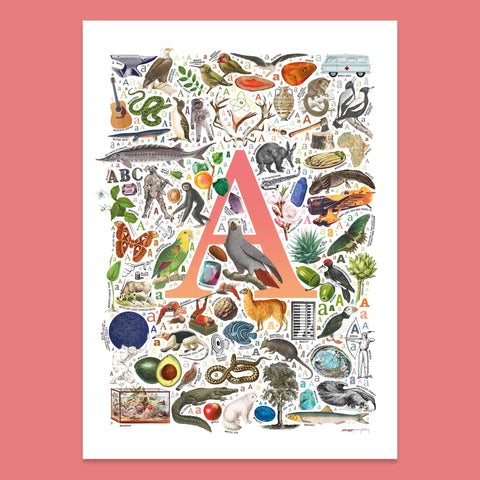 A is for Adventure - a poster with English A words