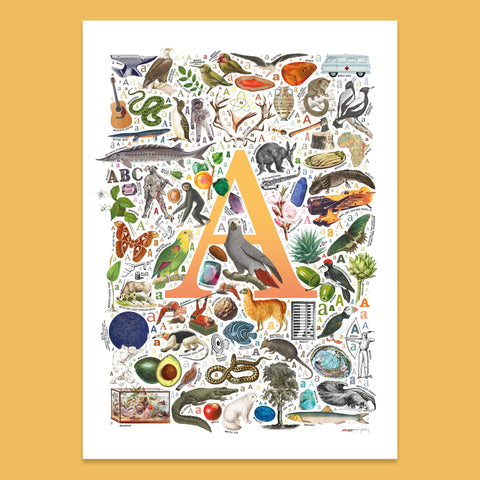 A is for Adventure - a poster with English A words