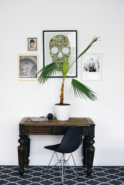 The Botanist - An Intricate Skull Poster